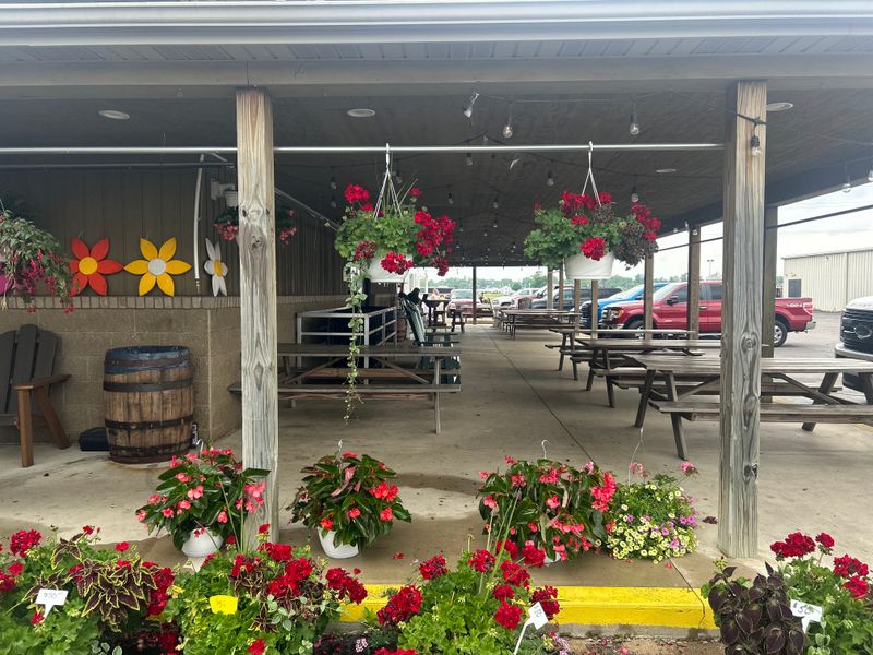 Greenhouse Season And Garden Starts