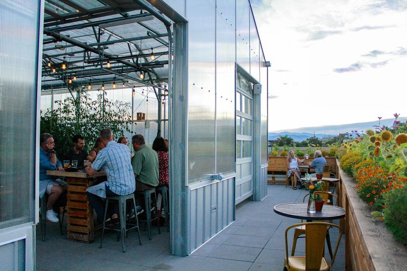 Chef Dana Rodriguez Brings Serious Skill Without Stiffness