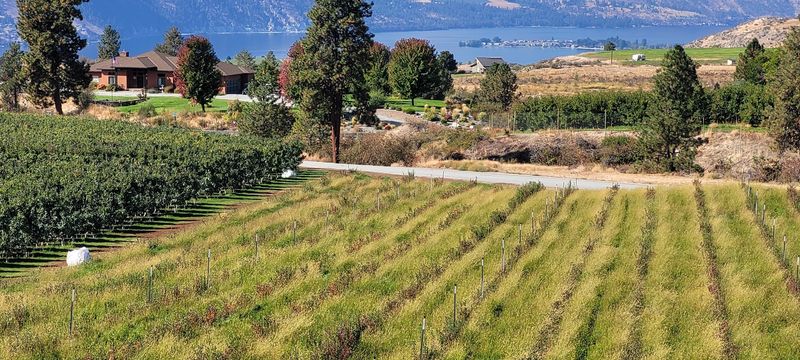 Chelan Ranch Chelan Ranch