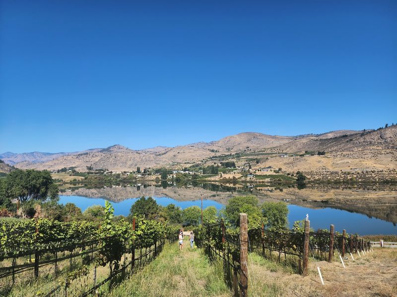 Chelan Valley Farms, Manson, WA