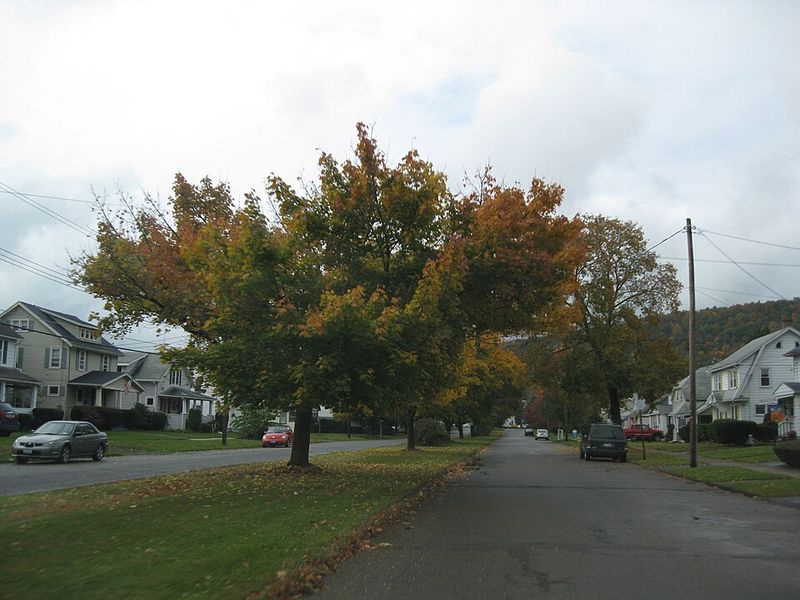 Chemung County