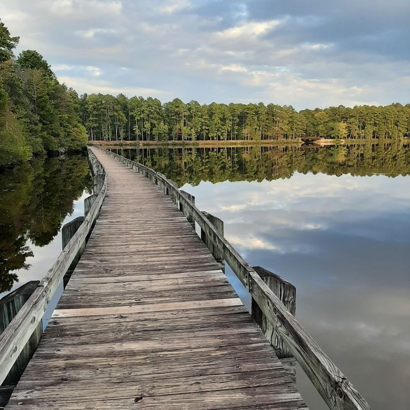 Cheraw State Park - Lake Juniper Cabins, Cheraw