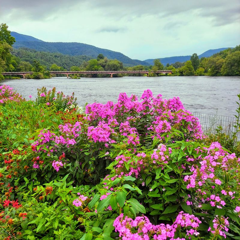 Eight Miles from Civilization