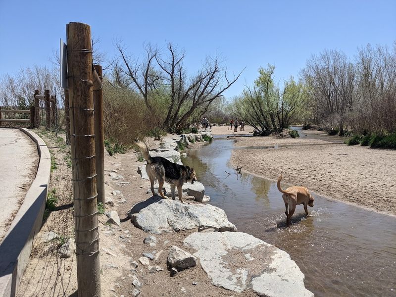 Cherry Creek State Park Dog Off-Leash Area - Aurora Cherry Creek State Park Dog Off-Leash Area - Aurora