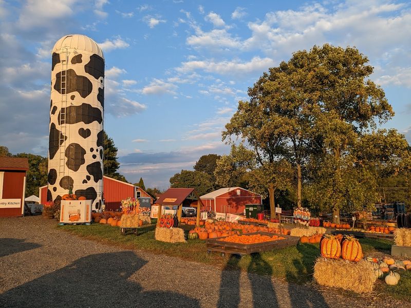 Hellerick's Adventure Farm, Buckingham, Pennsylvania