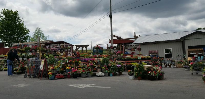 Weaver's Orchard, Morgantown