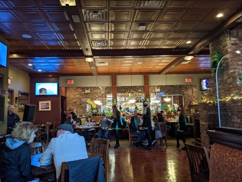 Green Parrot - Newtown