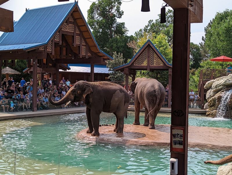 Denver Zoo Conservation Alliance - Denver