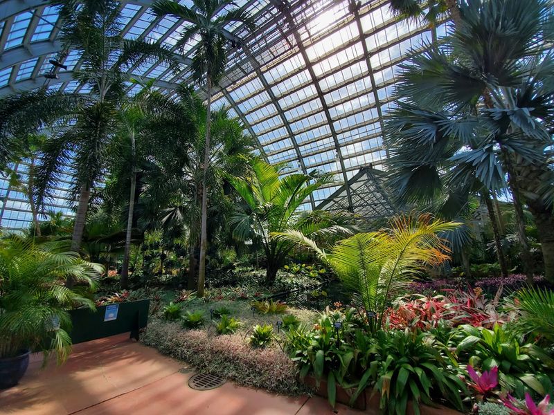 Garfield Park Conservatory, Chicago