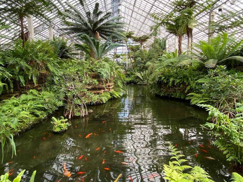 Garfield Park Conservatory, Chicago
