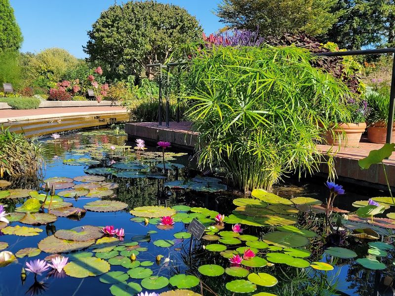 Chicago Botanic Garden, Glencoe