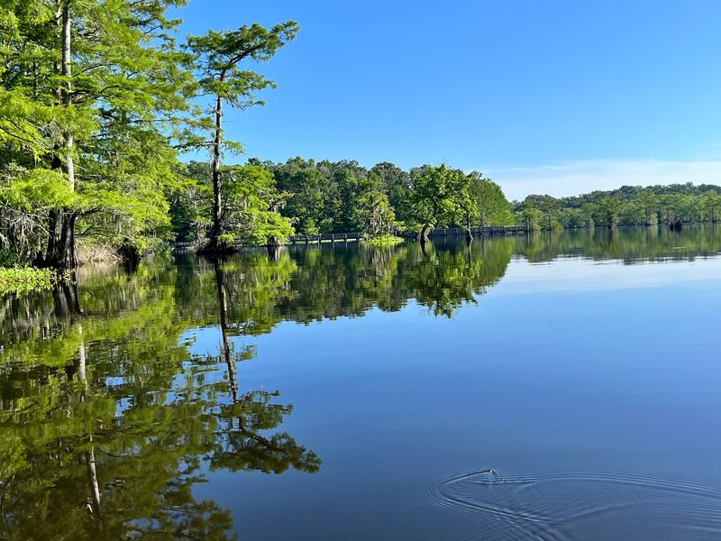 Chicot State Park