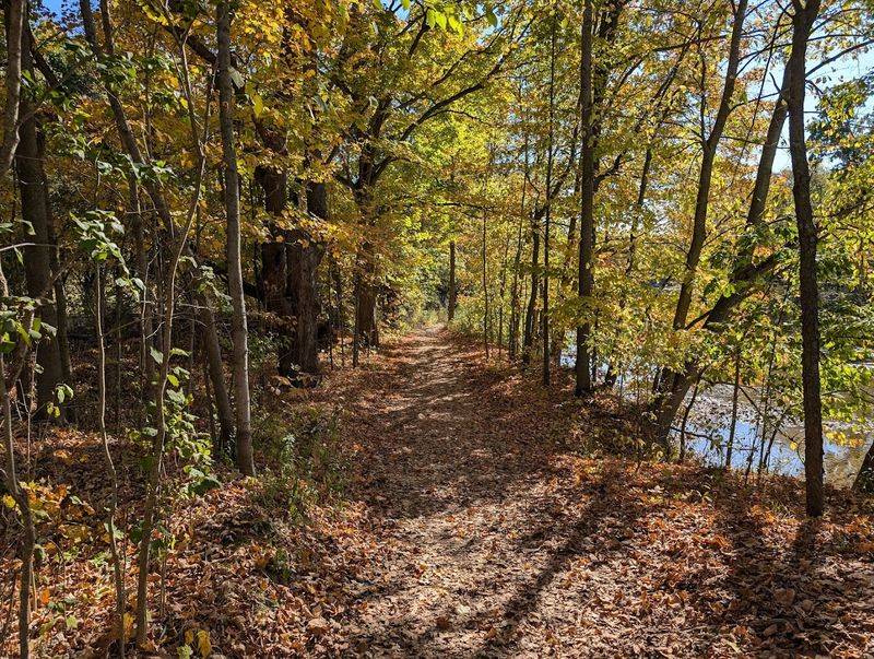 Chippewa Nature Center