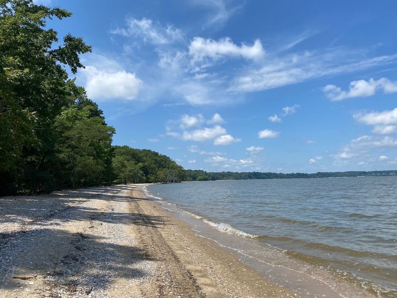 Chippokes State Park