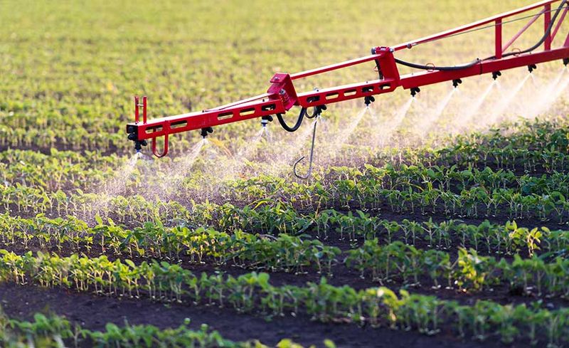 Chlordane-Treated Produce
