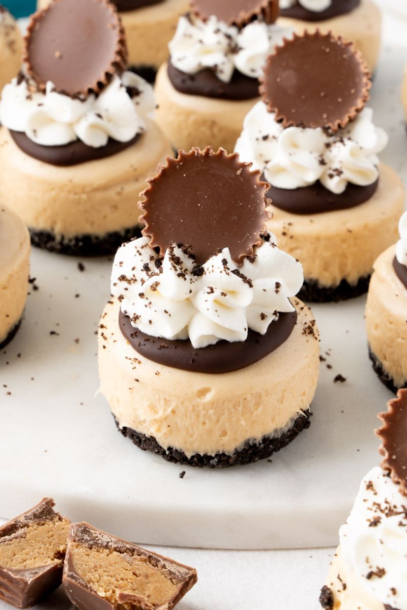 Chocolate Peanut Butter Cheesecake Bites