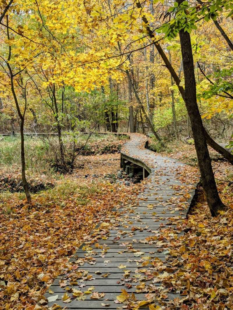 Choose A Season, Then Come Back