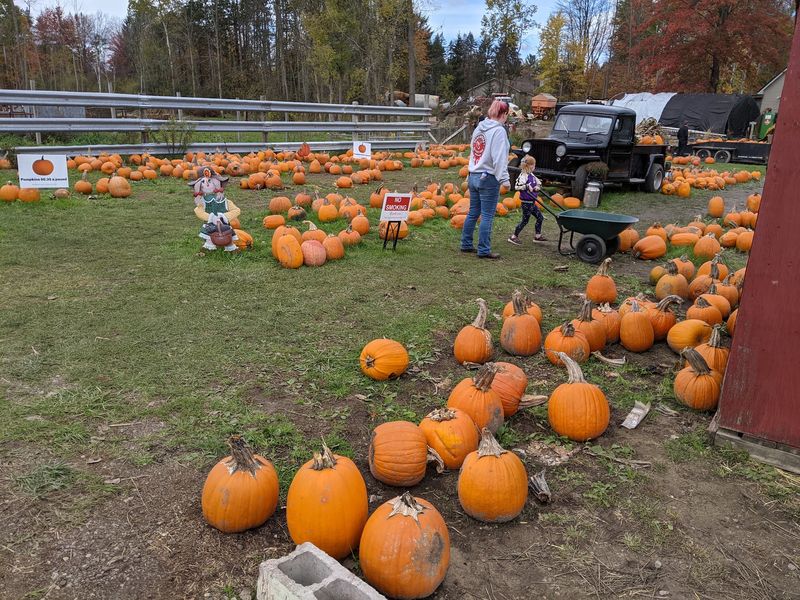 Choose Your Own Pace At Grandma’s Pumpkin Patch