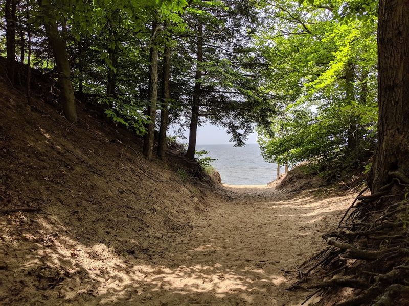 Choose Your Trail Before You Start Choose Your Trail Before You Start