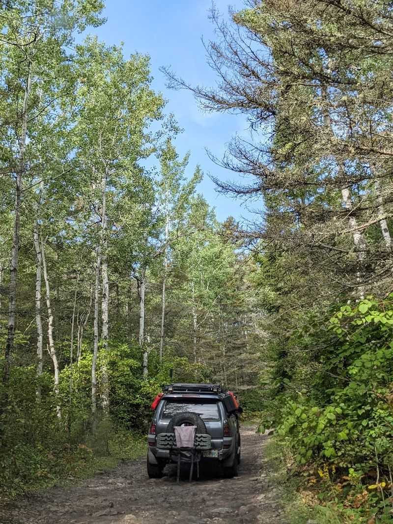 Choose Your Trail With Honesty Choose Your Trail With Honesty