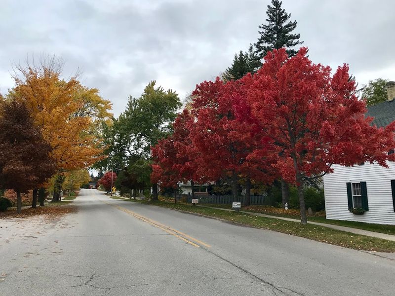 Braman Hill In All Seasons
