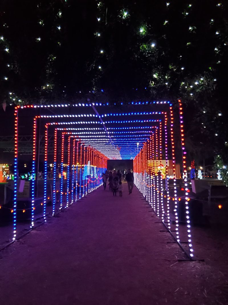 Christmas Fest And The Walk Through Winter Wonderland