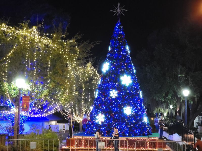 Christmas Lights That Draw Thousands