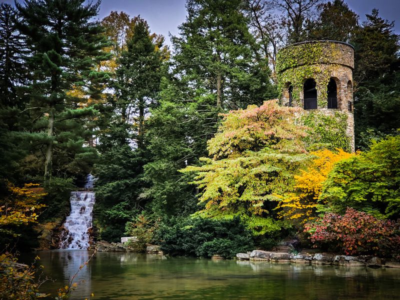 Meadow Garden Where Wildflowers Reign