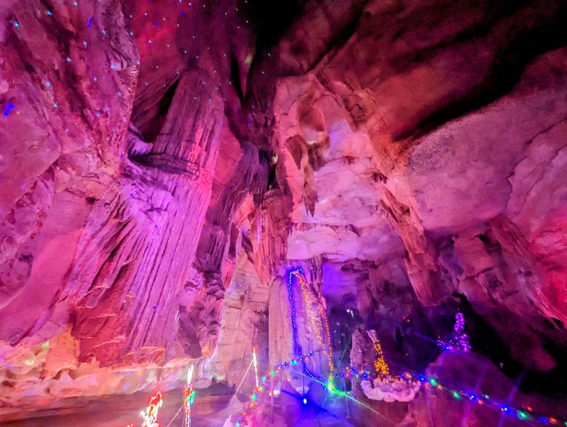 Wonderland Under Warrior – Warrior