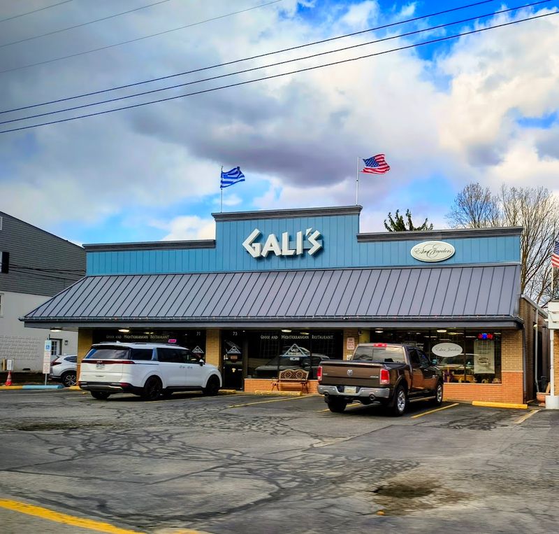 Gali's Gyro and Grill, Pleasant Hills