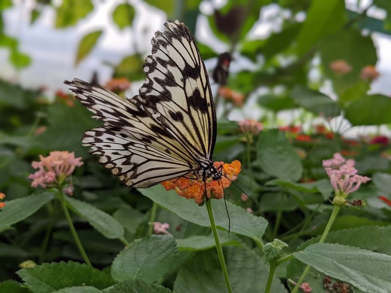 Spring Comforts And Quirks