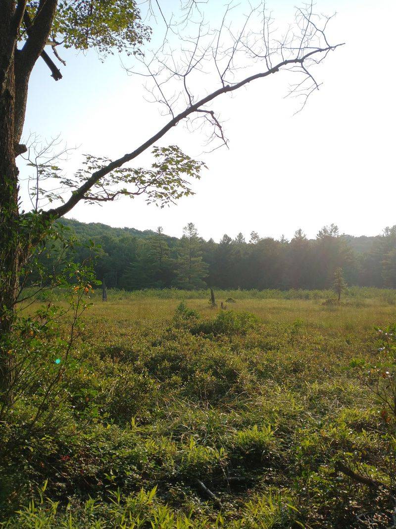 Chuck Keiper Trail, Noyes Township, PA
