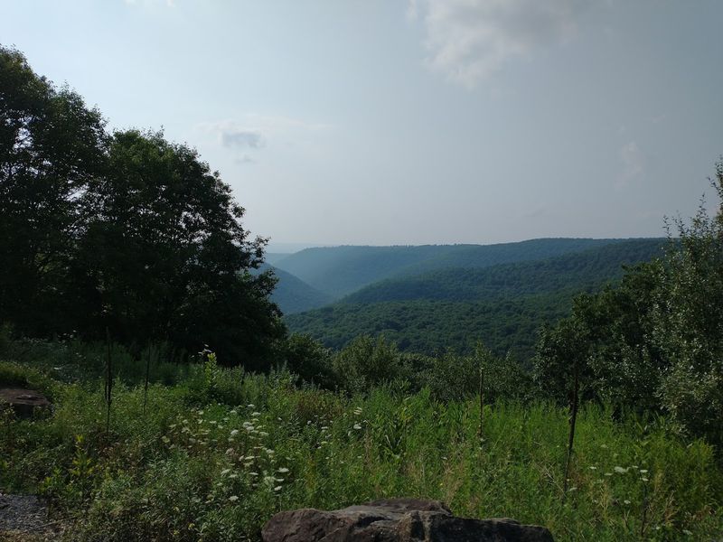 Chuck Keiper Trail, Sproul State Forest Chuck Keiper Trail, Sproul State Forest