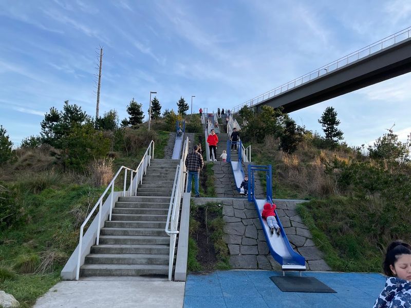 Chutes And Ladders: The Slides