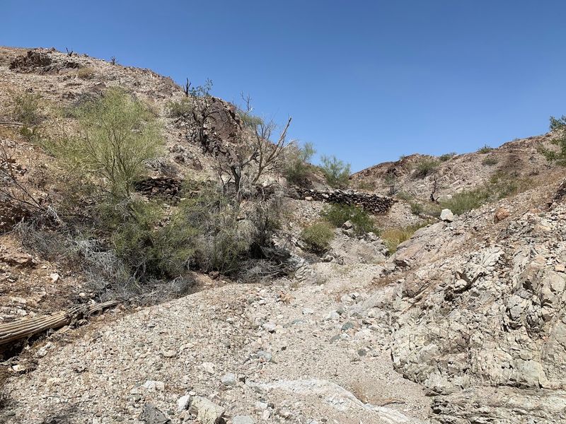 Cibola-Trigo Herd Management Area Near Yuma And Quartzsite Cibola-Trigo Herd Management Area Near Yuma And Quartzsite