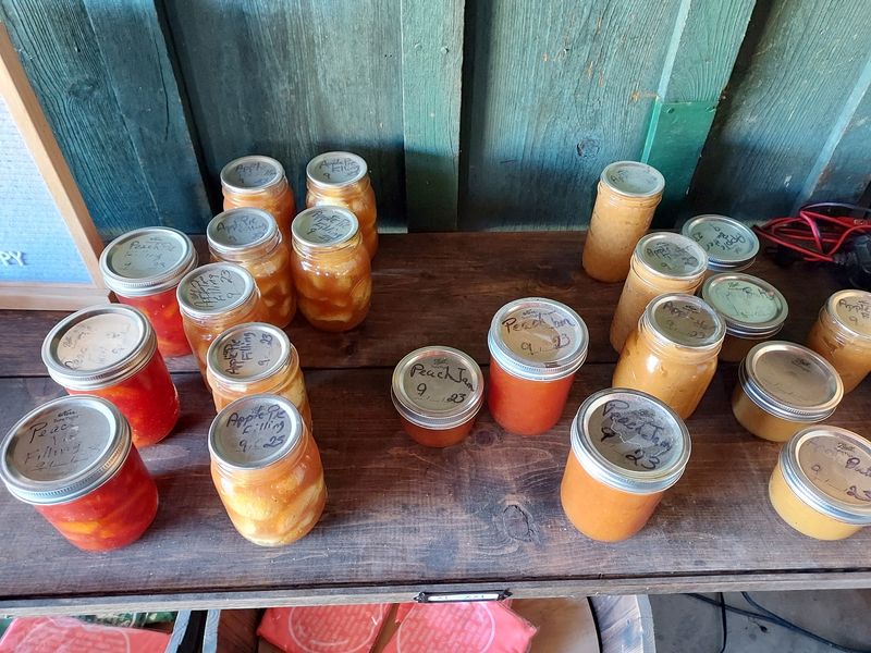 Cider And Peach Jam Might Sneak Into Your Bag