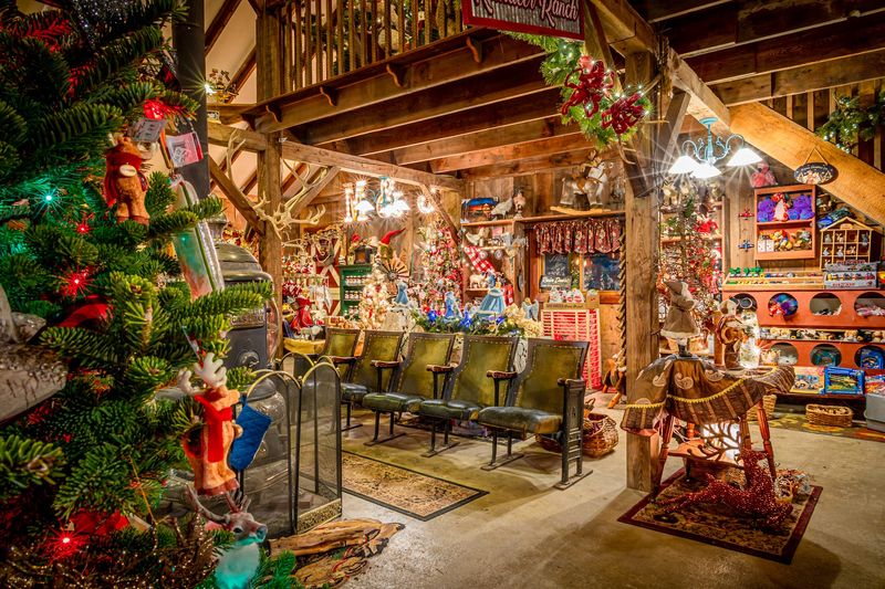 Cider, Chili, And A Toasty Gift Shop Cider, Chili, And A Toasty Gift Shop