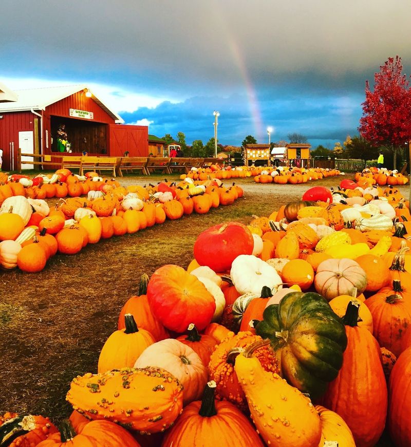 Cider Donuts And Campfires Make The Perfect Pit Stop Cider Donuts And Campfires Make The Perfect Pit Stop