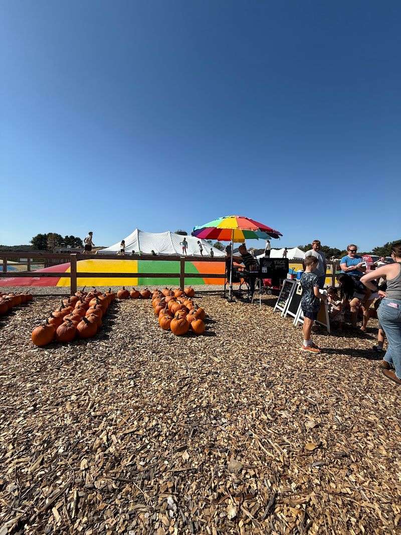 Cider Donuts And Sweet Treats