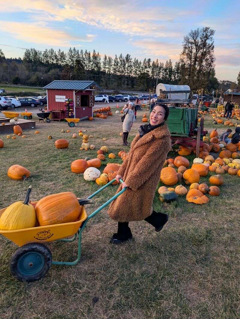 Cider Donuts, Roasted Corn and Farm Fare Cider Donuts, Roasted Corn and Farm Fare