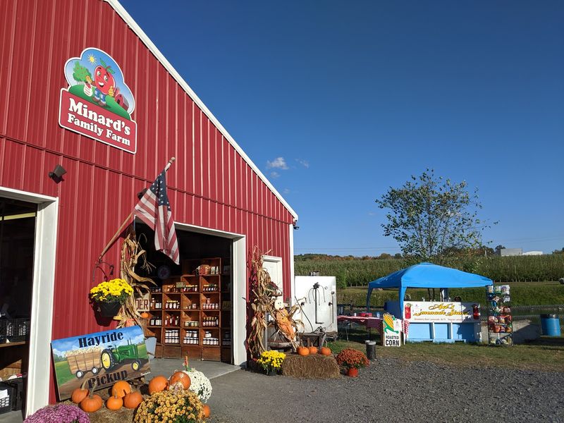 Cider Donuts Worth The Whole Drive