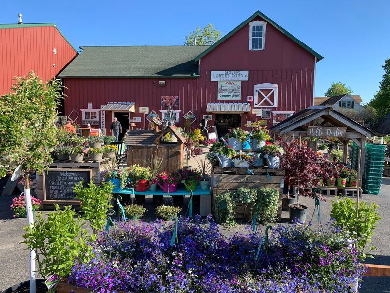 Cider Doughnuts, Pies, And Kettle Corn