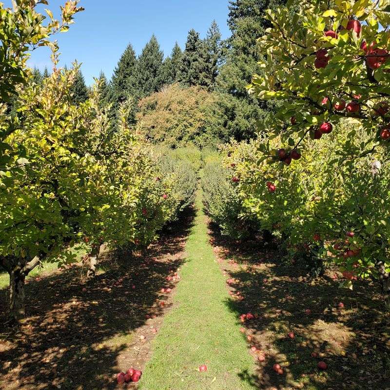 Cider Tastings And Holiday Reveals Keep The Calendar Busy