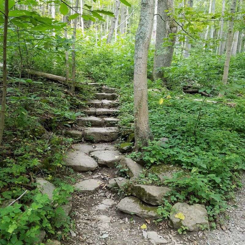 Cincinnati Nature Center Nature PlayScape, Milford