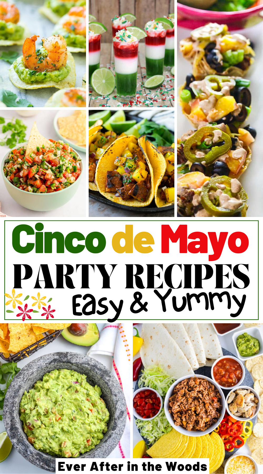 cinco de mayo party recipes