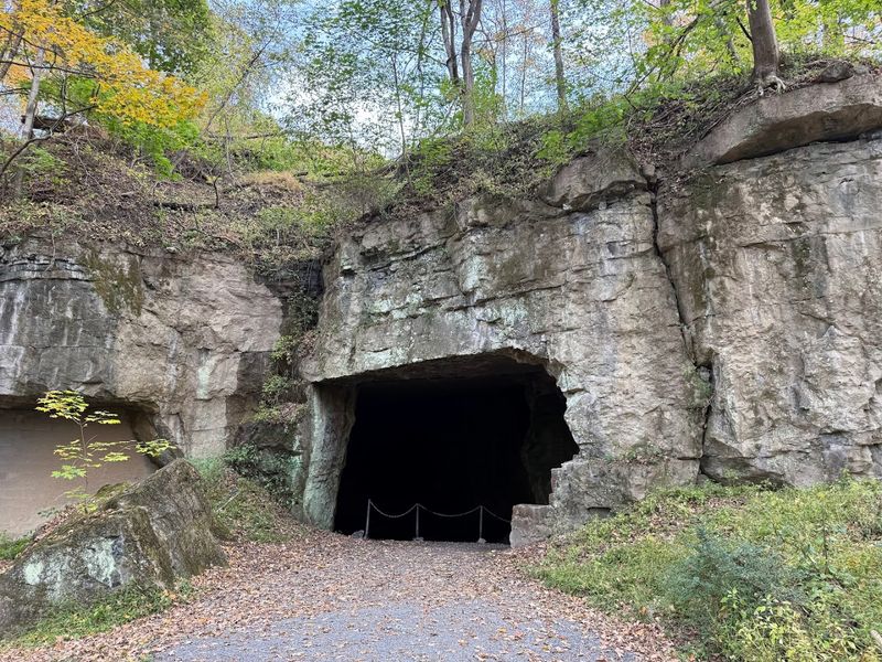 Underground Wonders Await