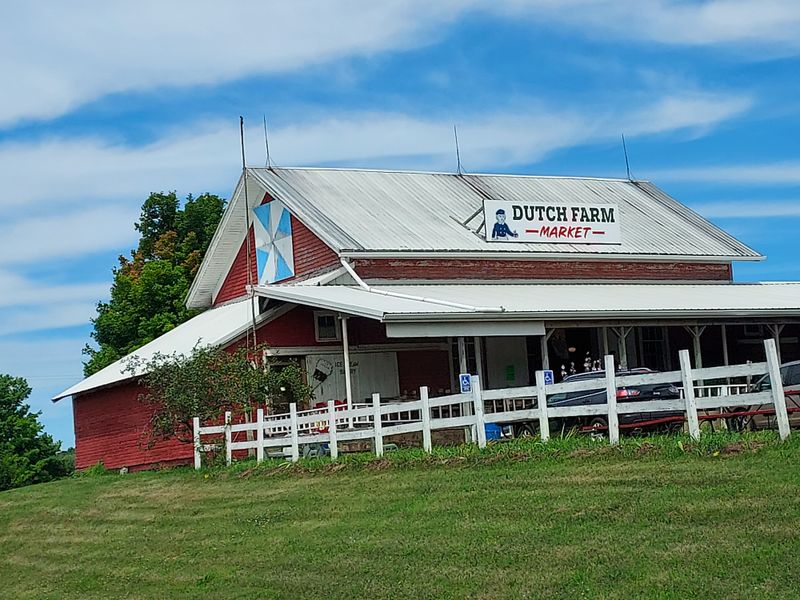 Lavender Ice Cream Detour