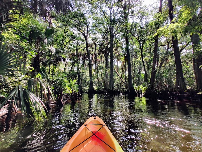 Riverbend Park Trails, Jupiter, Florida