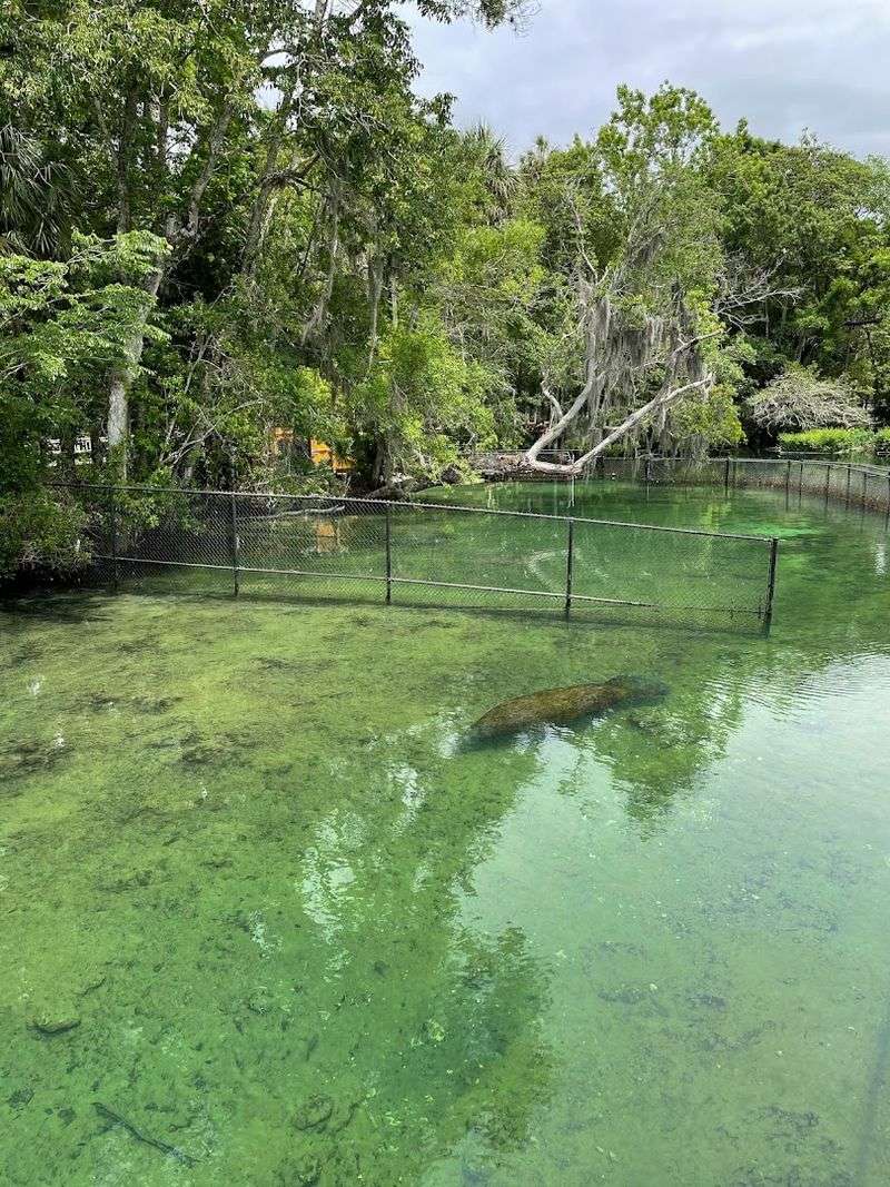 The Upstairs Courtroom That Steals The Show