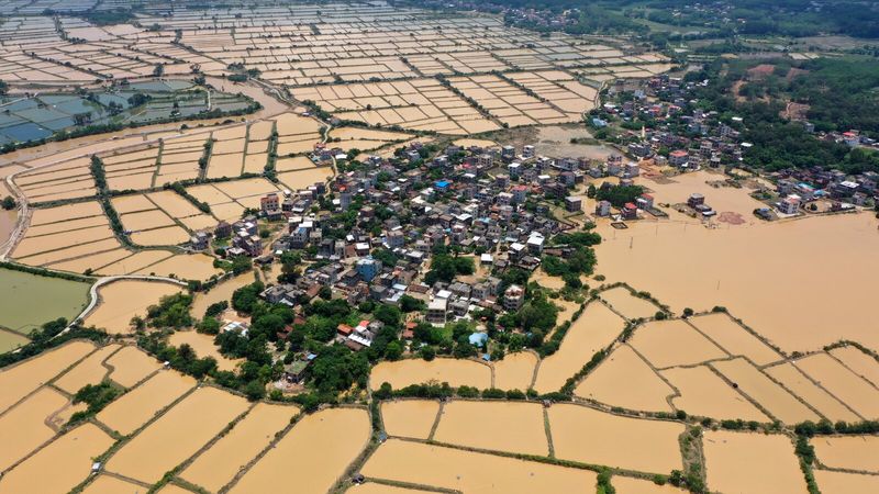 Rice Reserves Running Low
